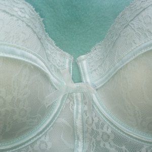 Ambrielle Corset w/bra